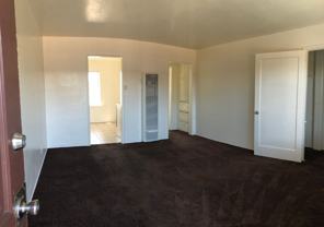 Elm 1357 - Photo 1 of 1