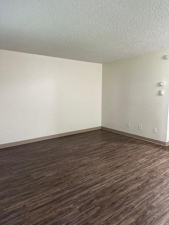 3800 14th Ave Se - Photo 3 of 38