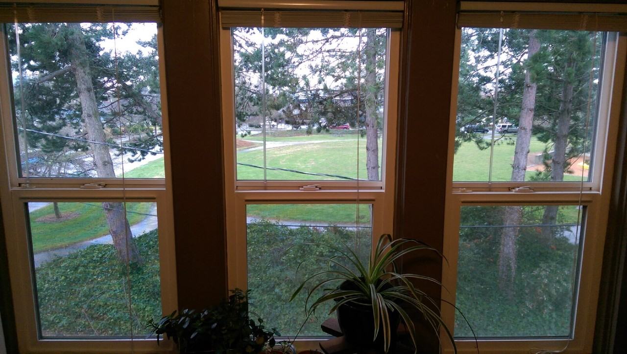 1901 G St #B - Photo 6 of 14