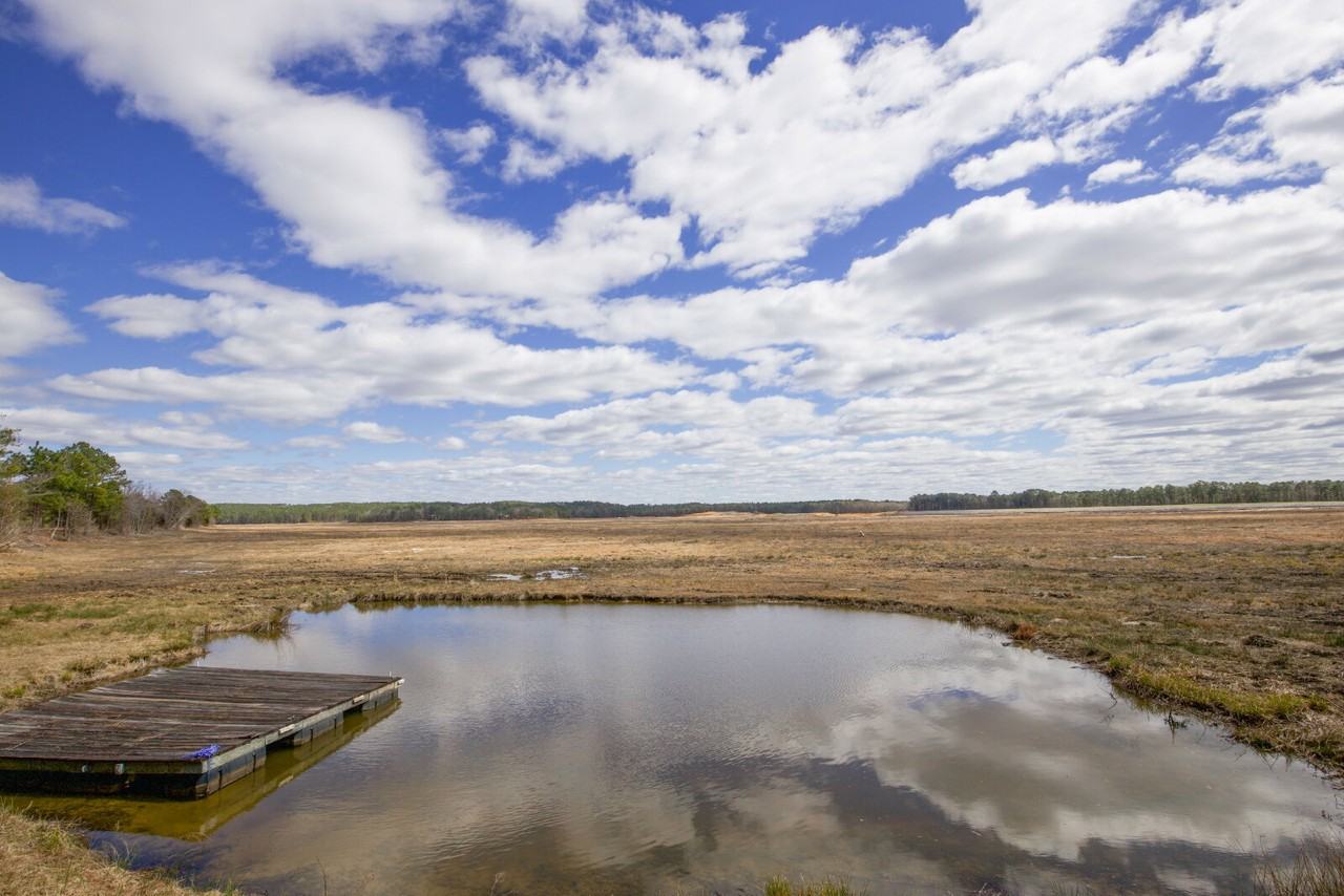 831 Seagull Dr - Photo 5 of 50