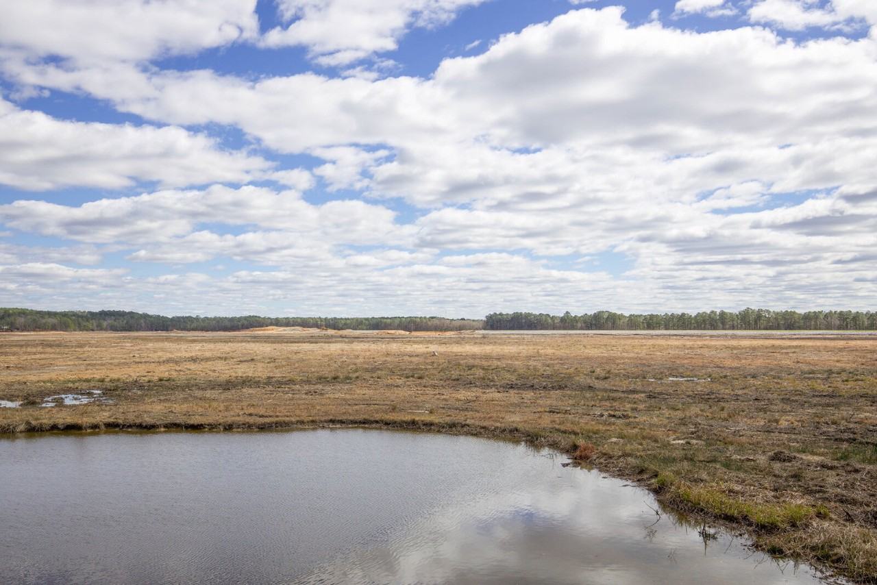 831 Seagull Dr - Photo 6 of 50