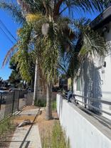 823 W 43rd Pl #821 - Photo 1 of 1
