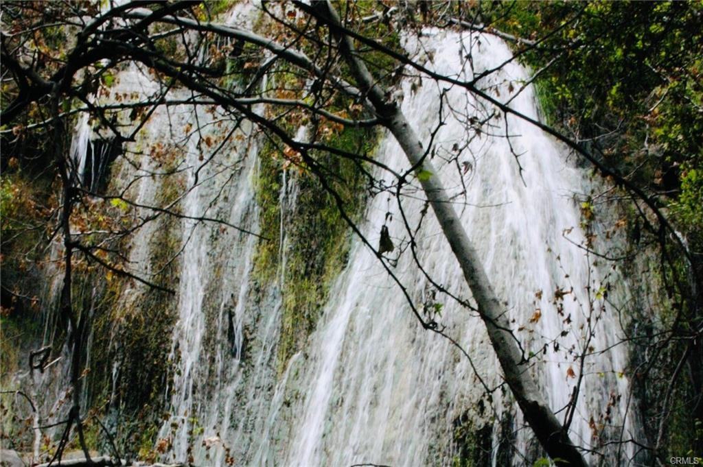 6349 Sycamore Meadows Dr - Photo 2 of 6