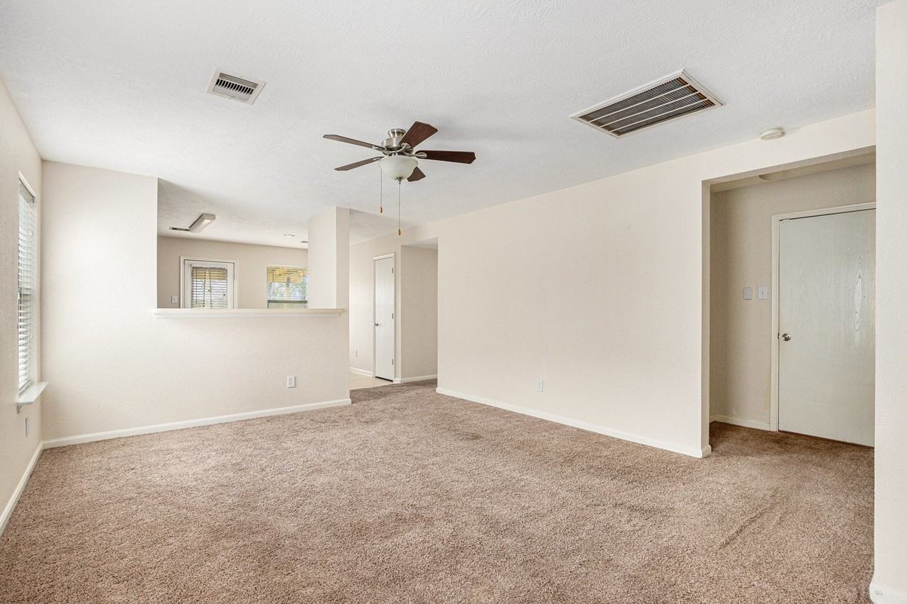 454 Silky Leaf Dr - Photo 6 of 28