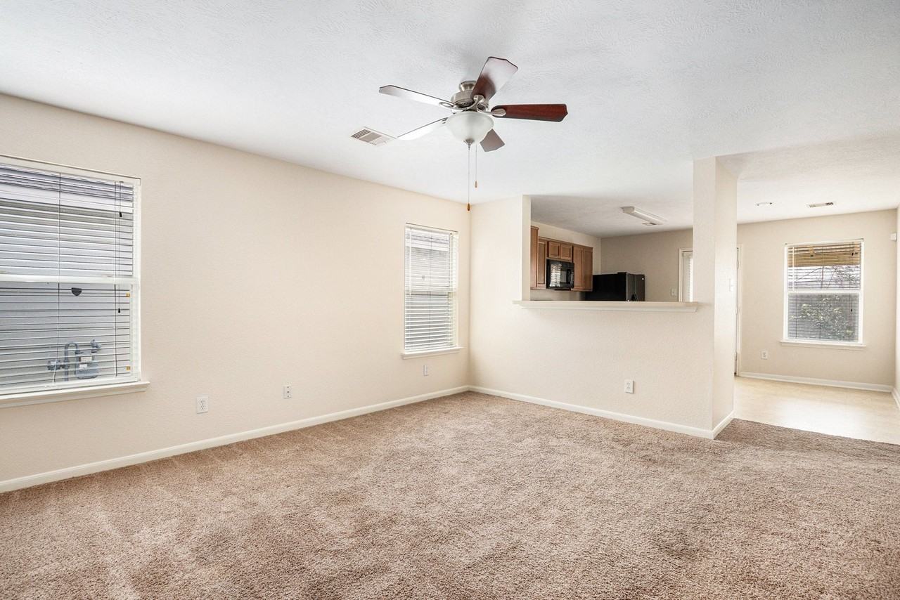 454 Silky Leaf Dr - Photo 7 of 28