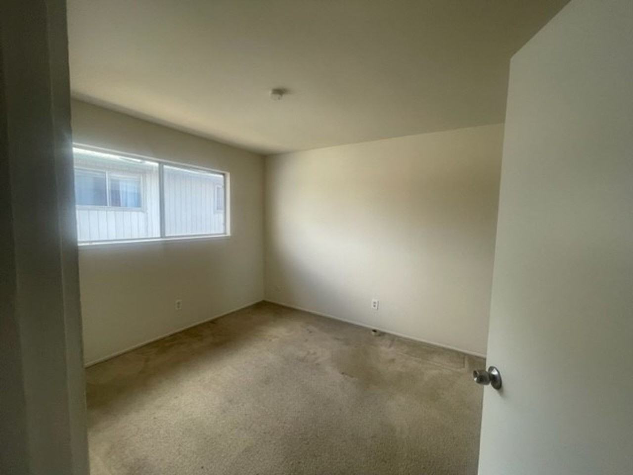270 - 36851/36857 Sycamore St - Photo 5 of 11