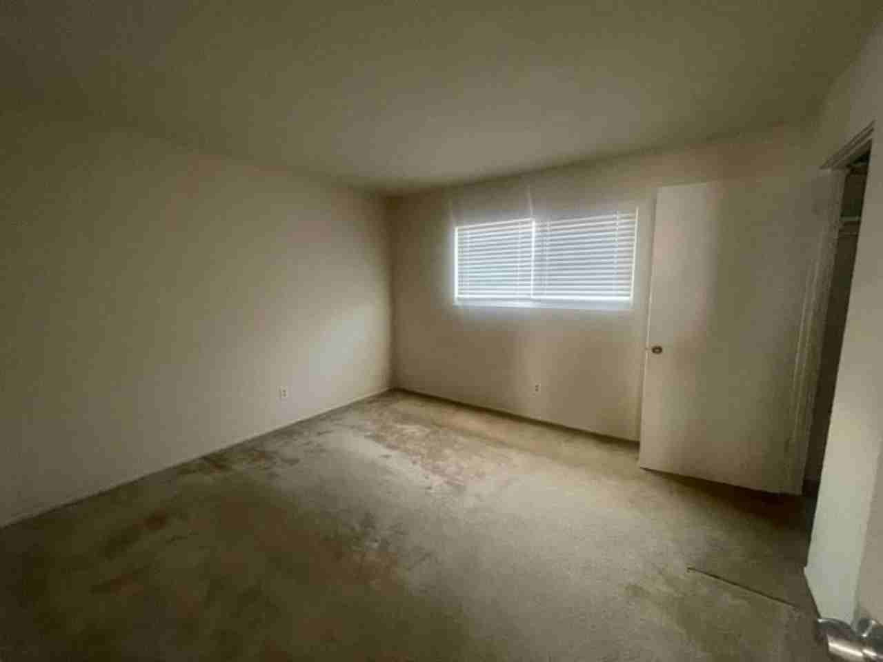 270 - 36851/36857 Sycamore St - Photo 6 of 11