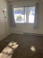 featured image of Fox Run #7