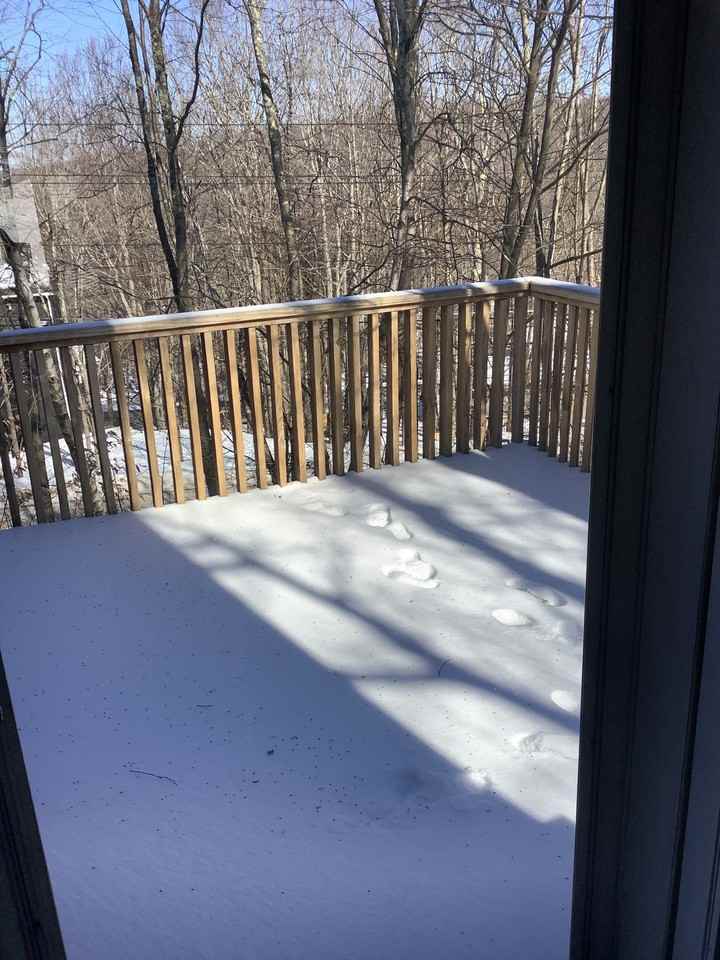 Fox Run #7 - Photo 7 of 17
