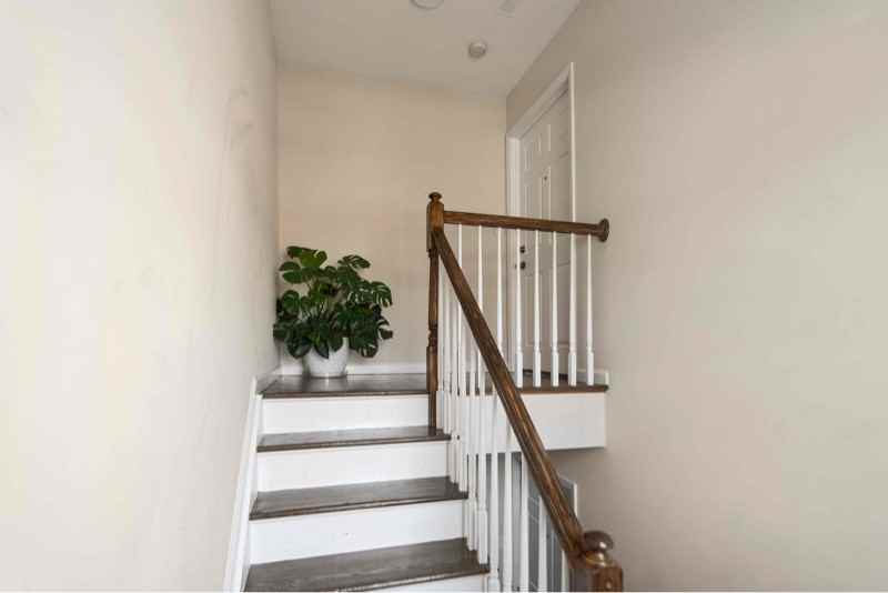 317 Livingston St #FL2 - Photo 3 of 13