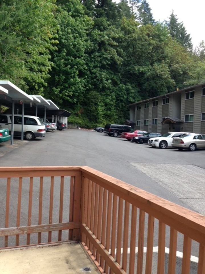 206 Teresa Way/Elliott Heights - Photo 7 of 42