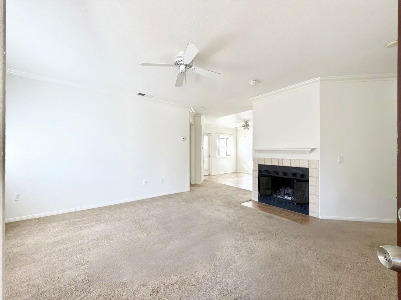 3521 Paseo De Elenita - Photo 2 of 20