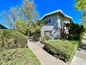 Old Sonoma Road, 2454 - Photo 1 of 1