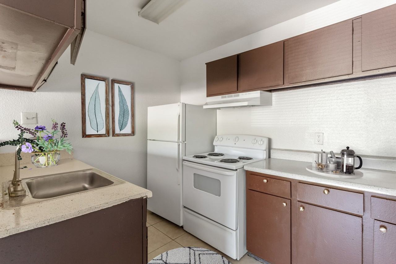 Spring Rose - Photo 7 of 14