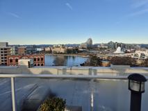 534 302-534 Yates Street #302 - Photo 1 of 1