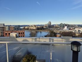 534 302-534 Yates Street #302 - Photo 1 of 1