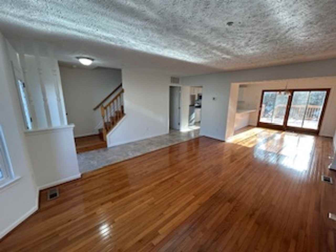 343 Lindera Ct - Photo 3 of 23