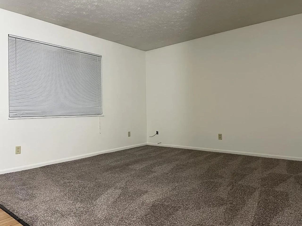 458 Seville Rd - Photo 3 of 14