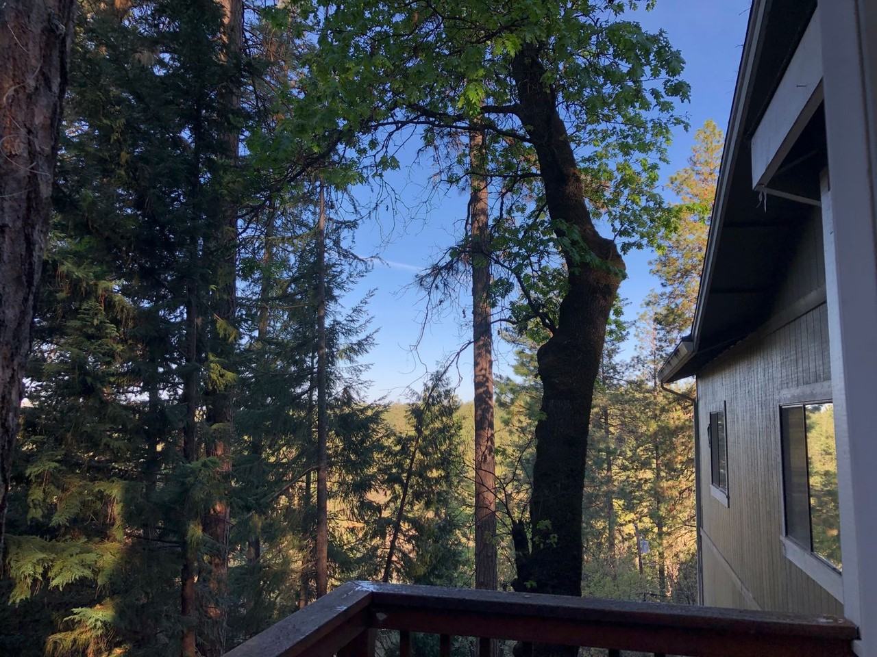 11419 Sunset Pl - Photo 3 of 16