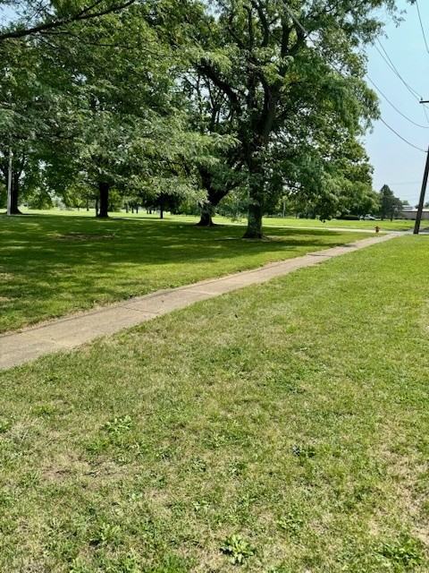 1320 Mccullough St - Photo 3 of 38