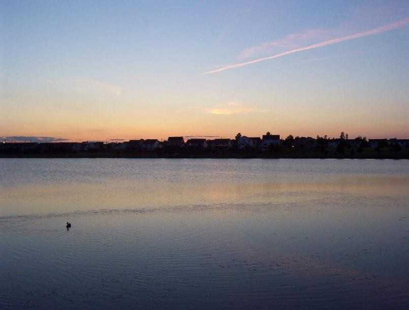 19 Boardwalk Cir - Photo 7 of 29