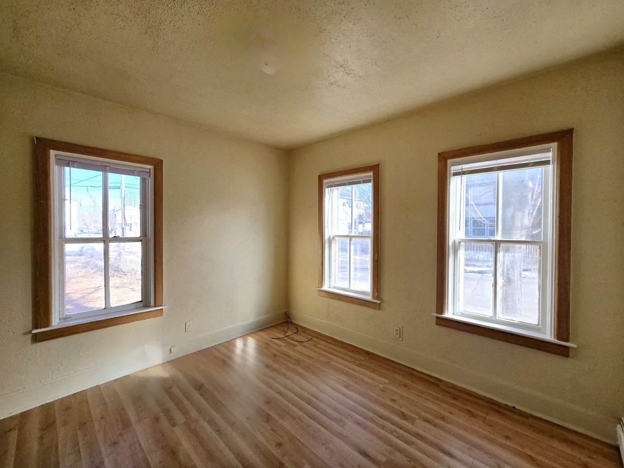 316 Garfield Ave Lower - Photo 4 of 11