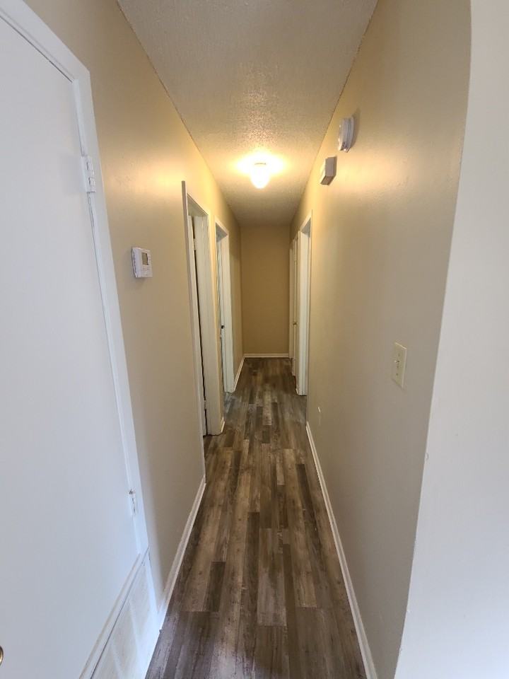 7123 Senterfitt Rd - Photo 5 of 10