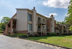 Pinetree Apartments - Photo 1 of 1