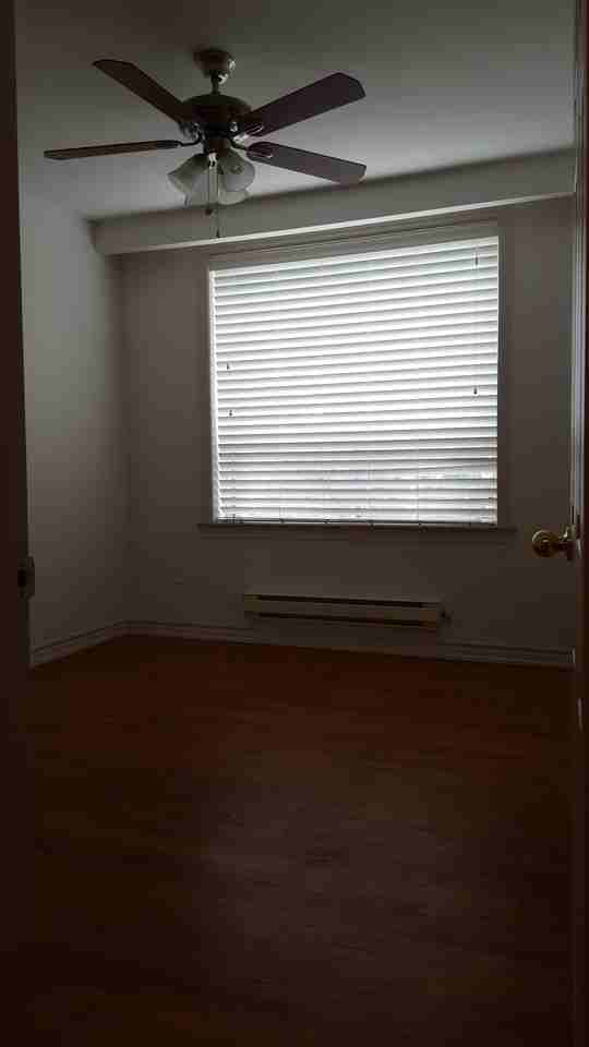 1799 Danforth Avenue - Photo 7 of 12