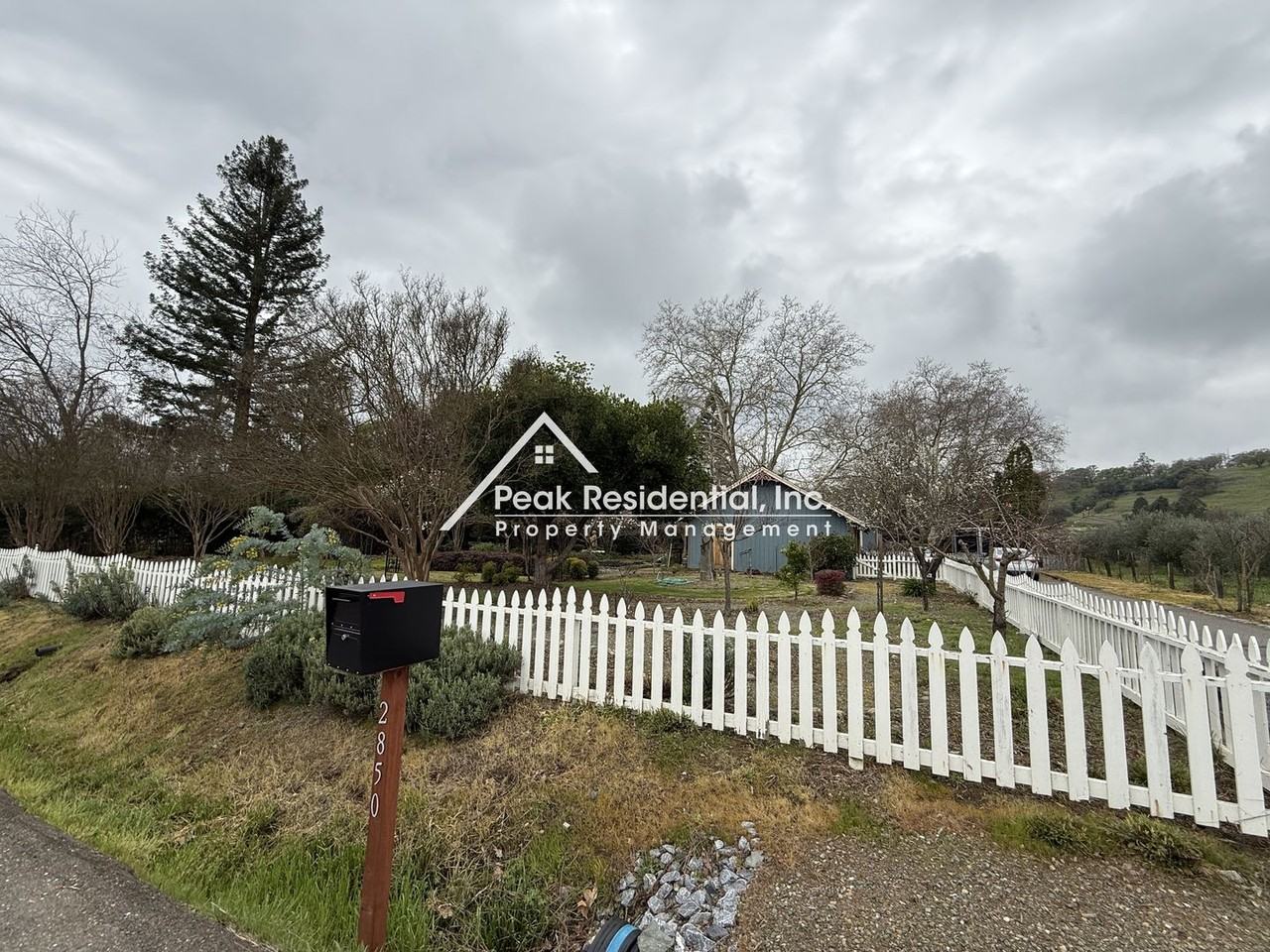 2850 Delmar Ave - Photo 3 of 39
