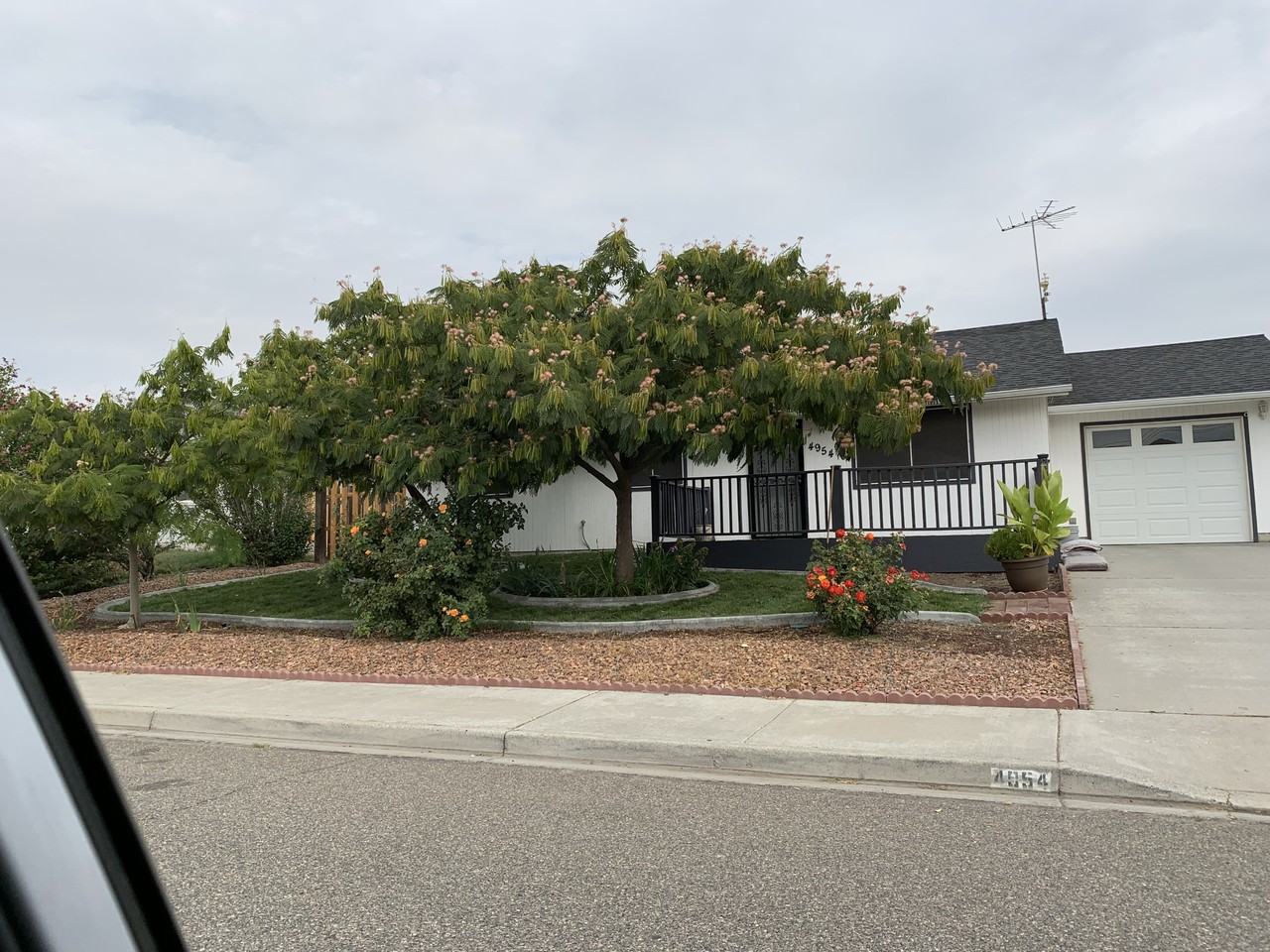 4954 Peony St #NA - Photo 3 of 18