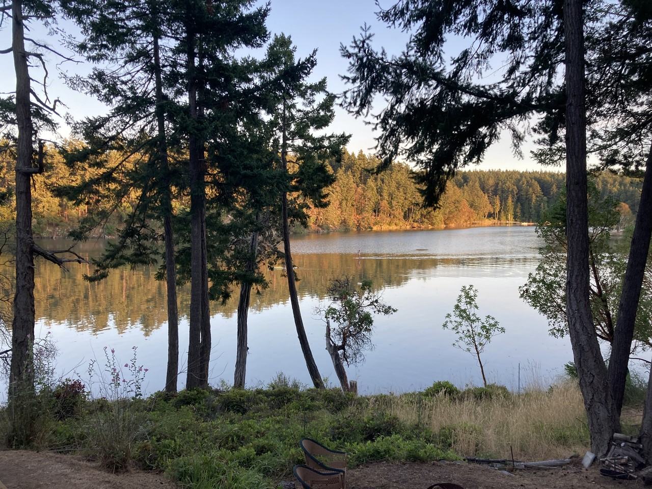 73 Dogwood Lane - Photo 5 of 19