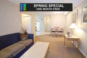 featured image of 102 Cartier Rd