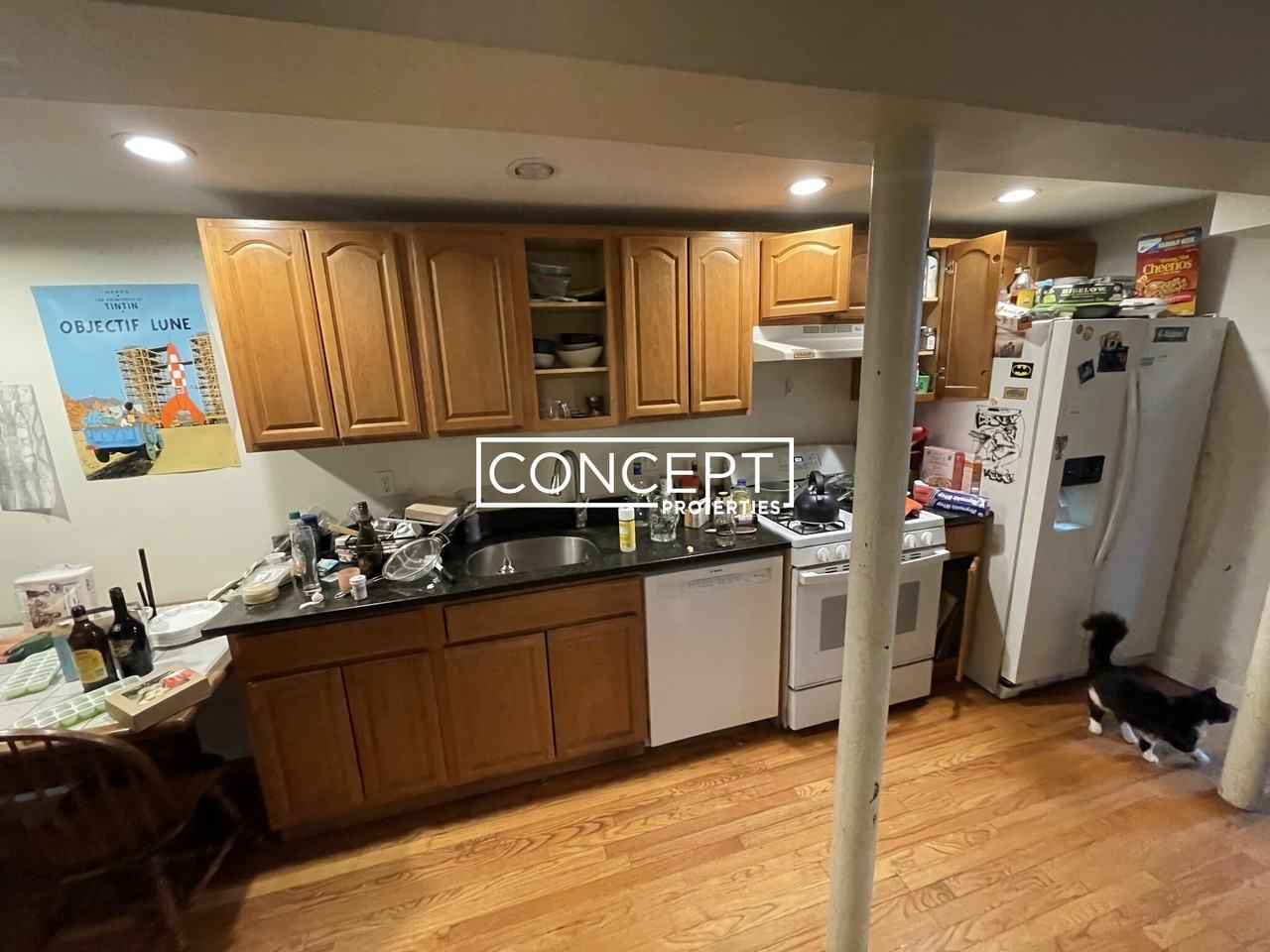 1426 Commonwealth Ave #B1 - Photo 2 of 13