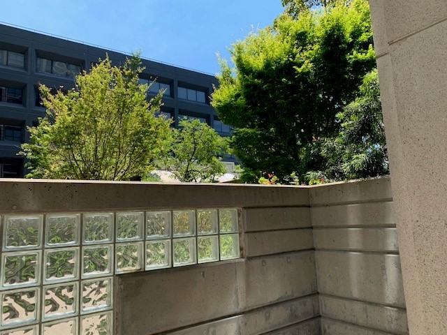 300 3rd Street #309 - Photo 2 of 12