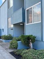 featured image of 2024 Vine St #1A