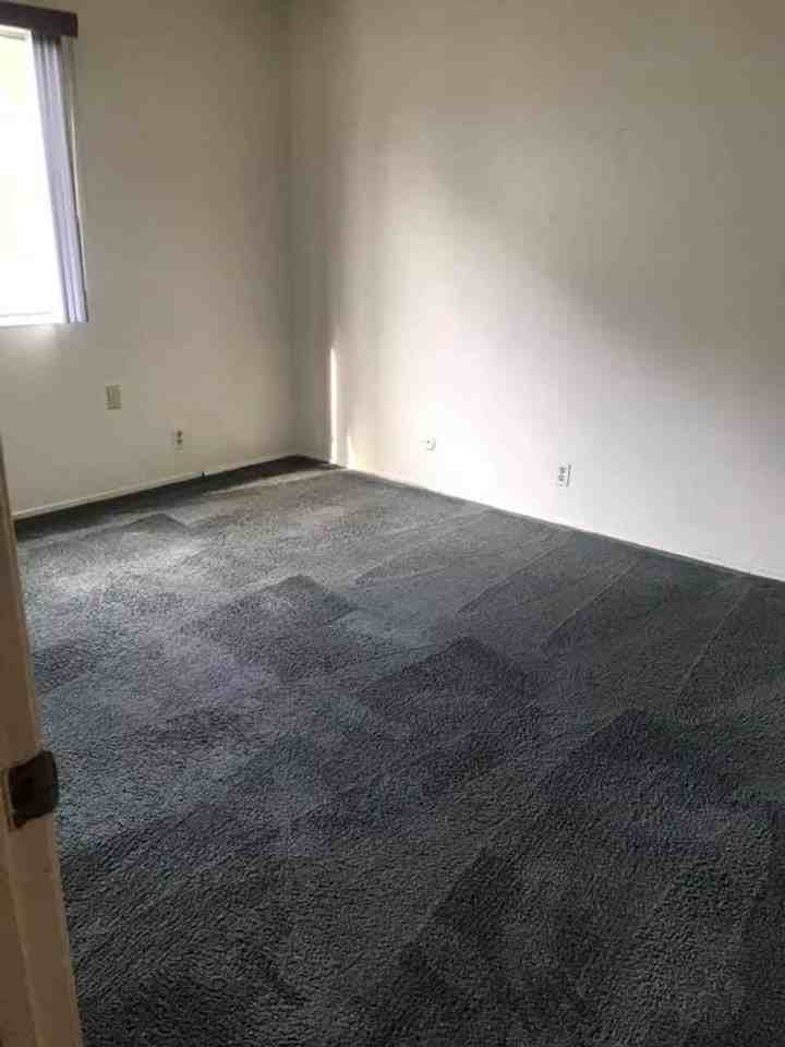 2230 Haste St - Photo 4 of 12