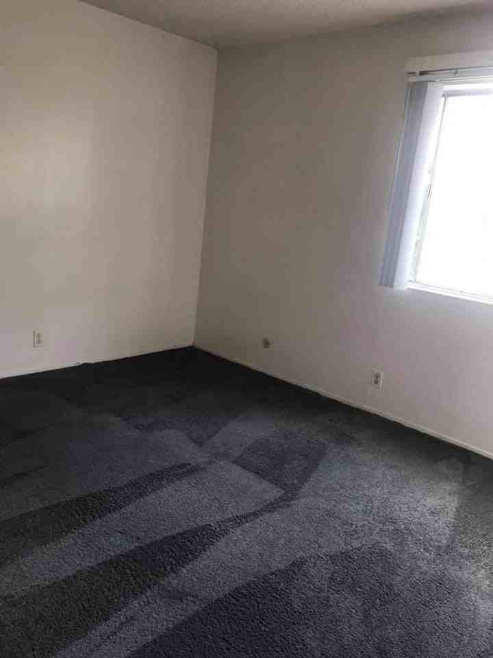2230 Haste St - Photo 7 of 12