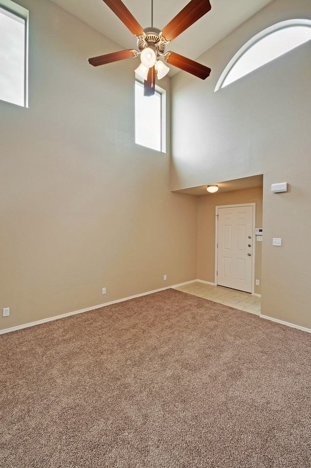 444 Cactus Crossing Dr - Photo 3 of 17