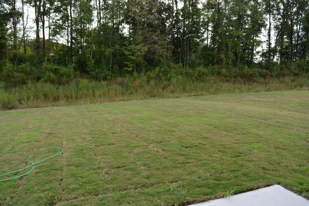 Bellewood Gardens Dr - Photo 4 of 14