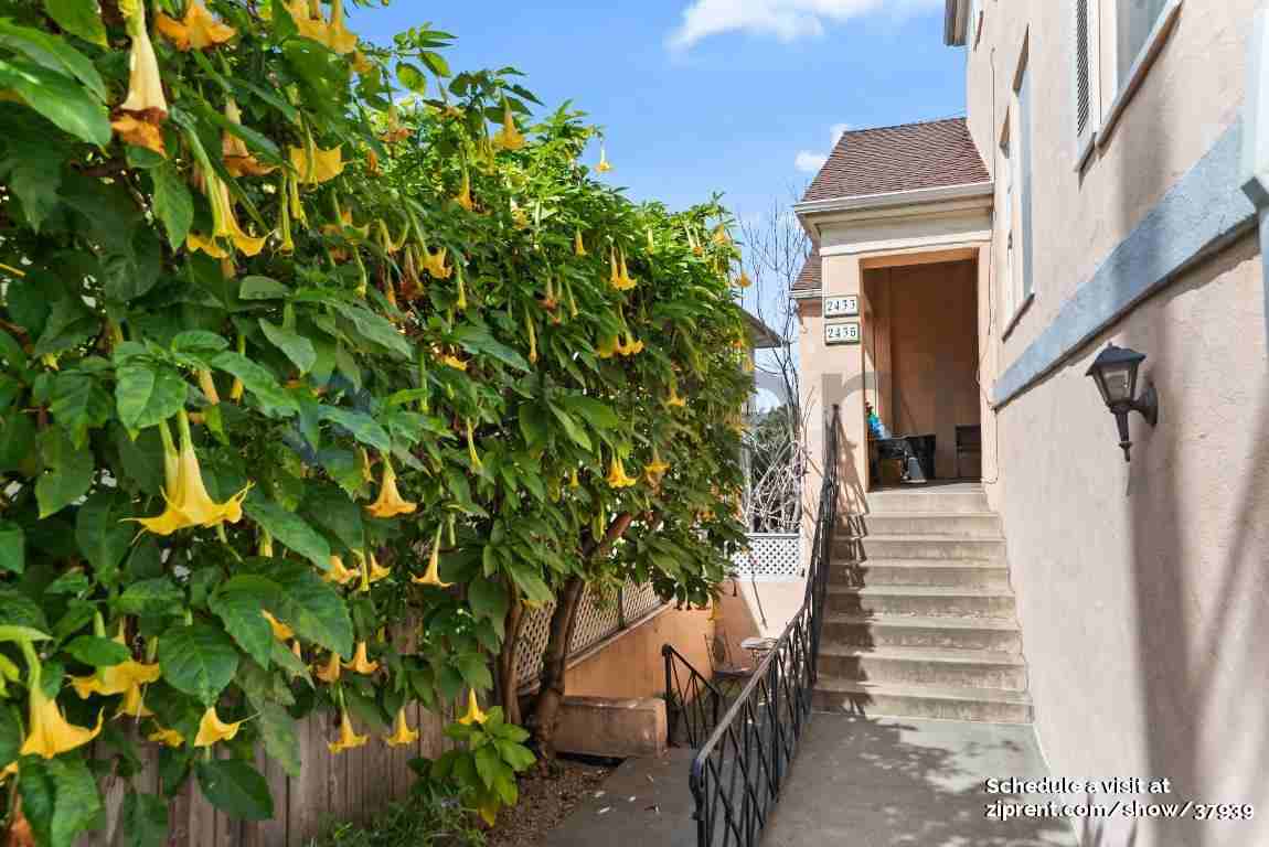 2433 Ivy Dr - Photo 2 of 24