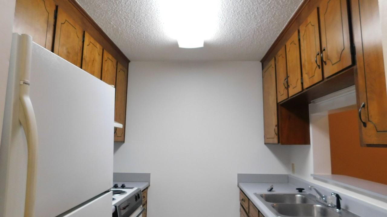 226 Candlebrook Dr - Photo 3 of 8