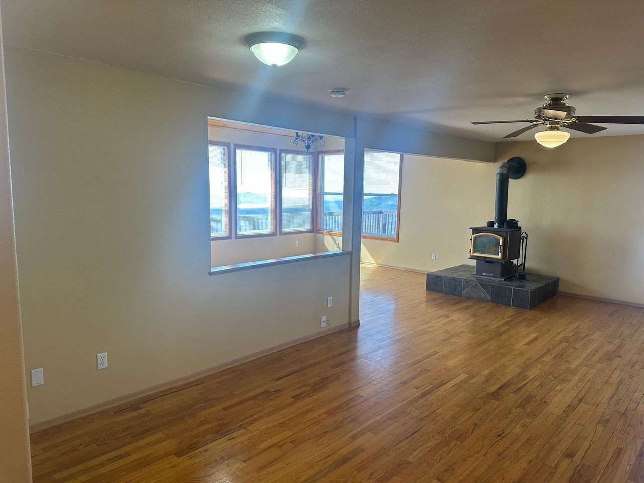 24230 Jacaranda Dr - Photo 4 of 22