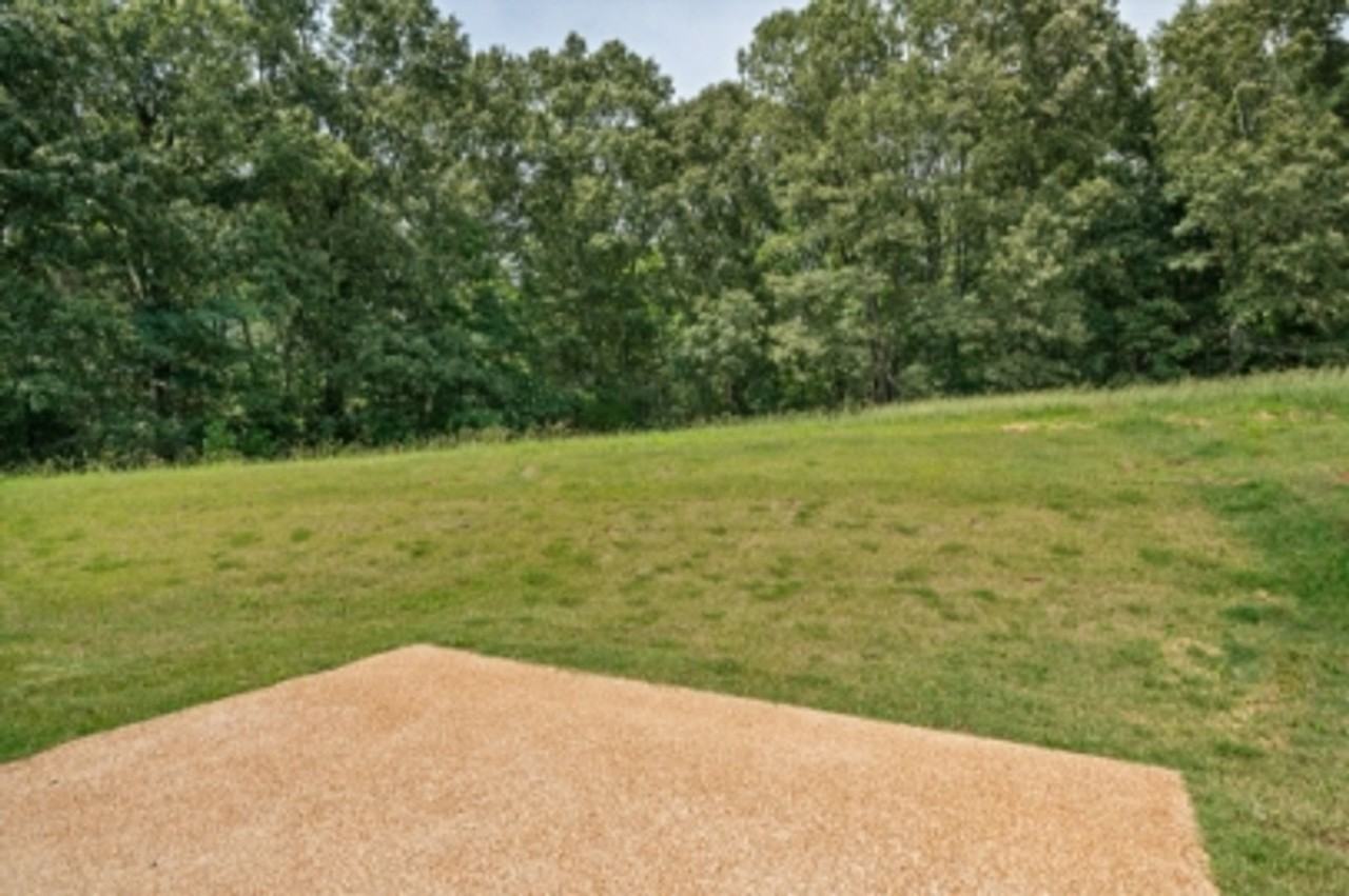 57 Scattered Oaks Dr - Photo 4 of 26