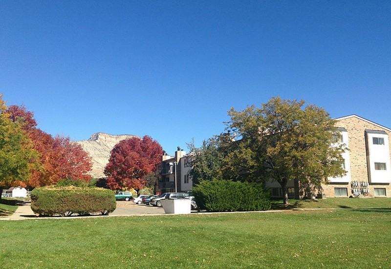 Cottonwood View - Photo 2 of 21