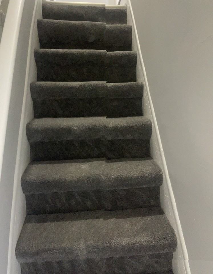 533 Moya St #NA - Photo 3 of 17