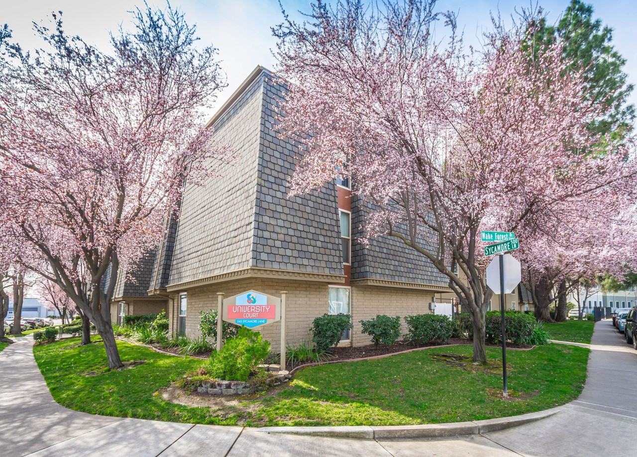 University Court - Photo 2 of 50