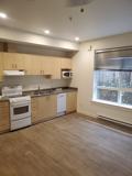244 Selby Street #106 - Photo 1 of 1