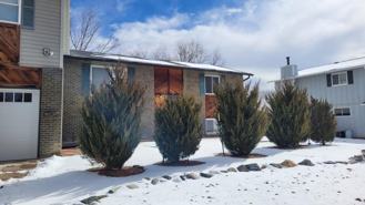3508 Chestnut Ave - Photo 1 of 1
