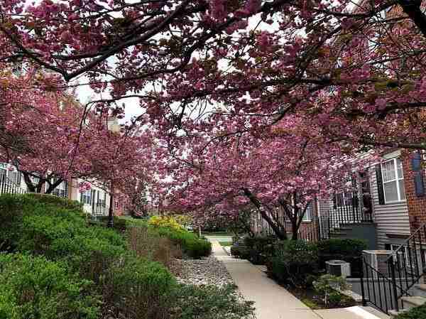 1 Society Hill Quad - Photo 4 of 8